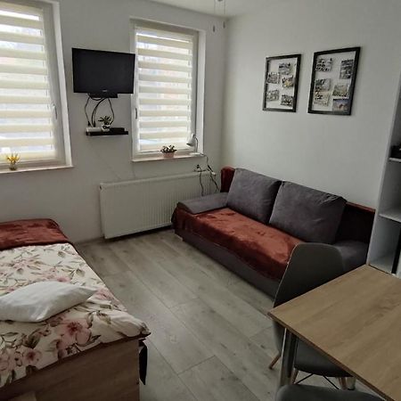 Apartament "Jelen" Cieplice Apartment Jelenia Góra Екстериор снимка